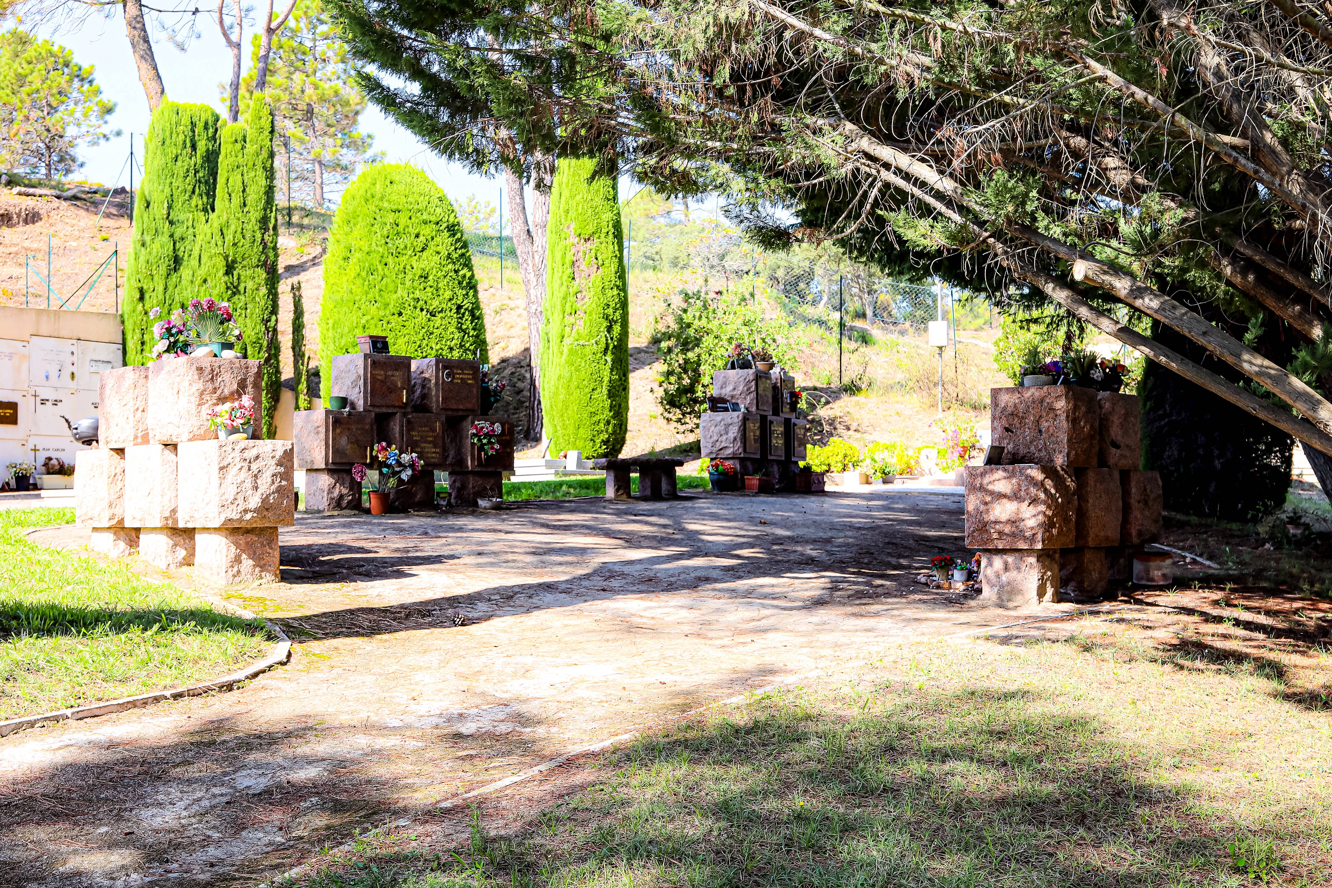 Photo cimetière