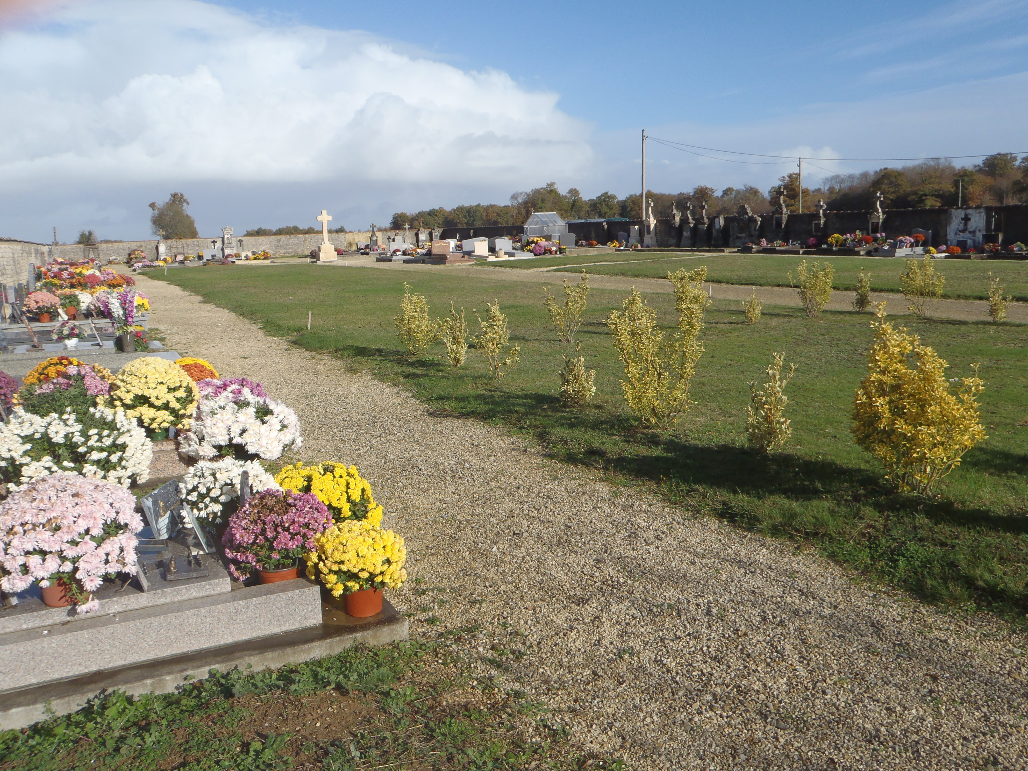 Photo cimetière