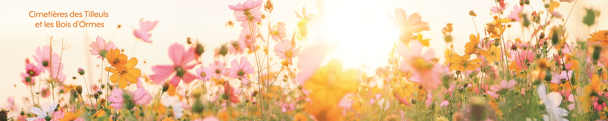 Site en cours d'actualisation