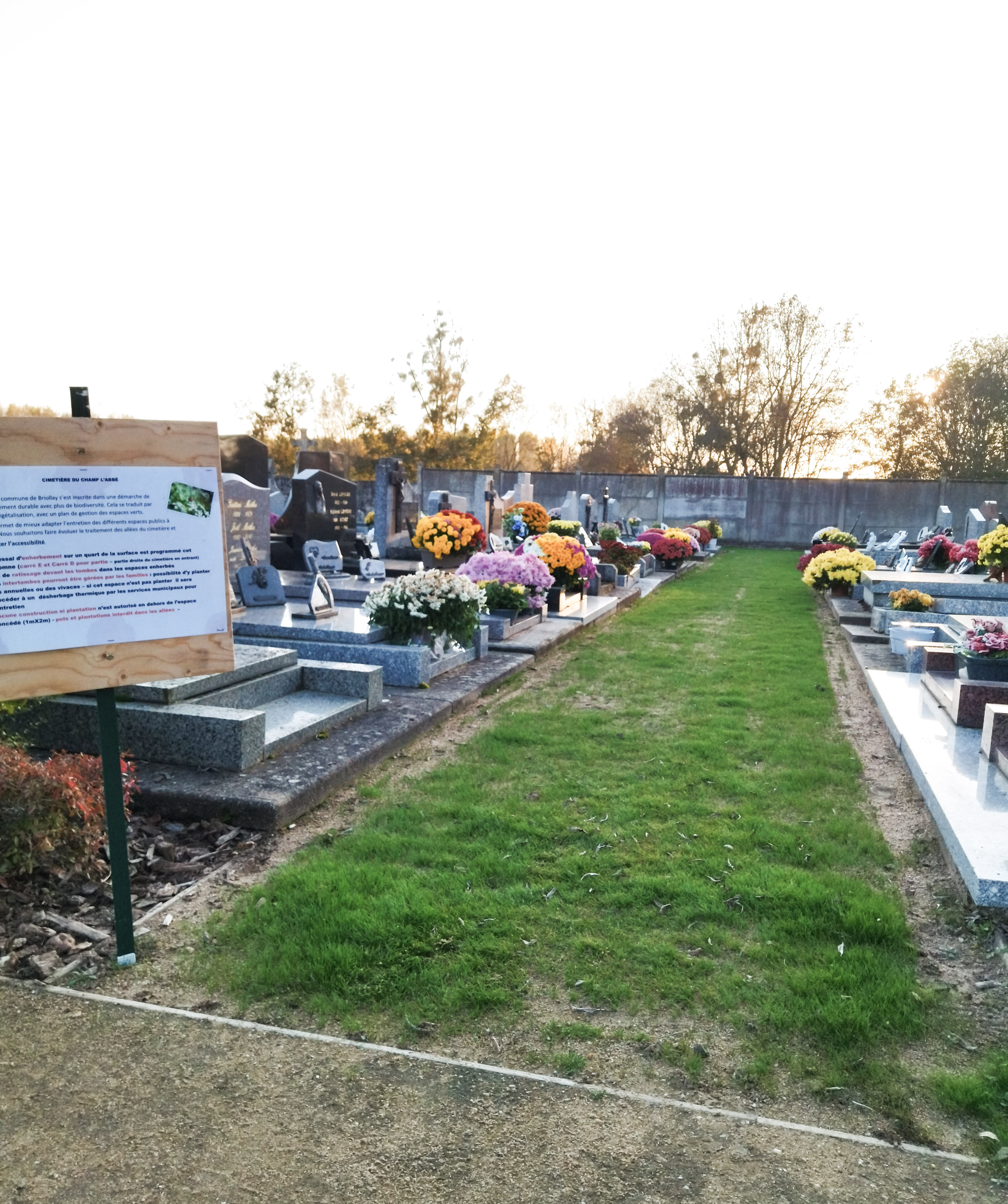 Végétalisation du cimetière 1ère partie