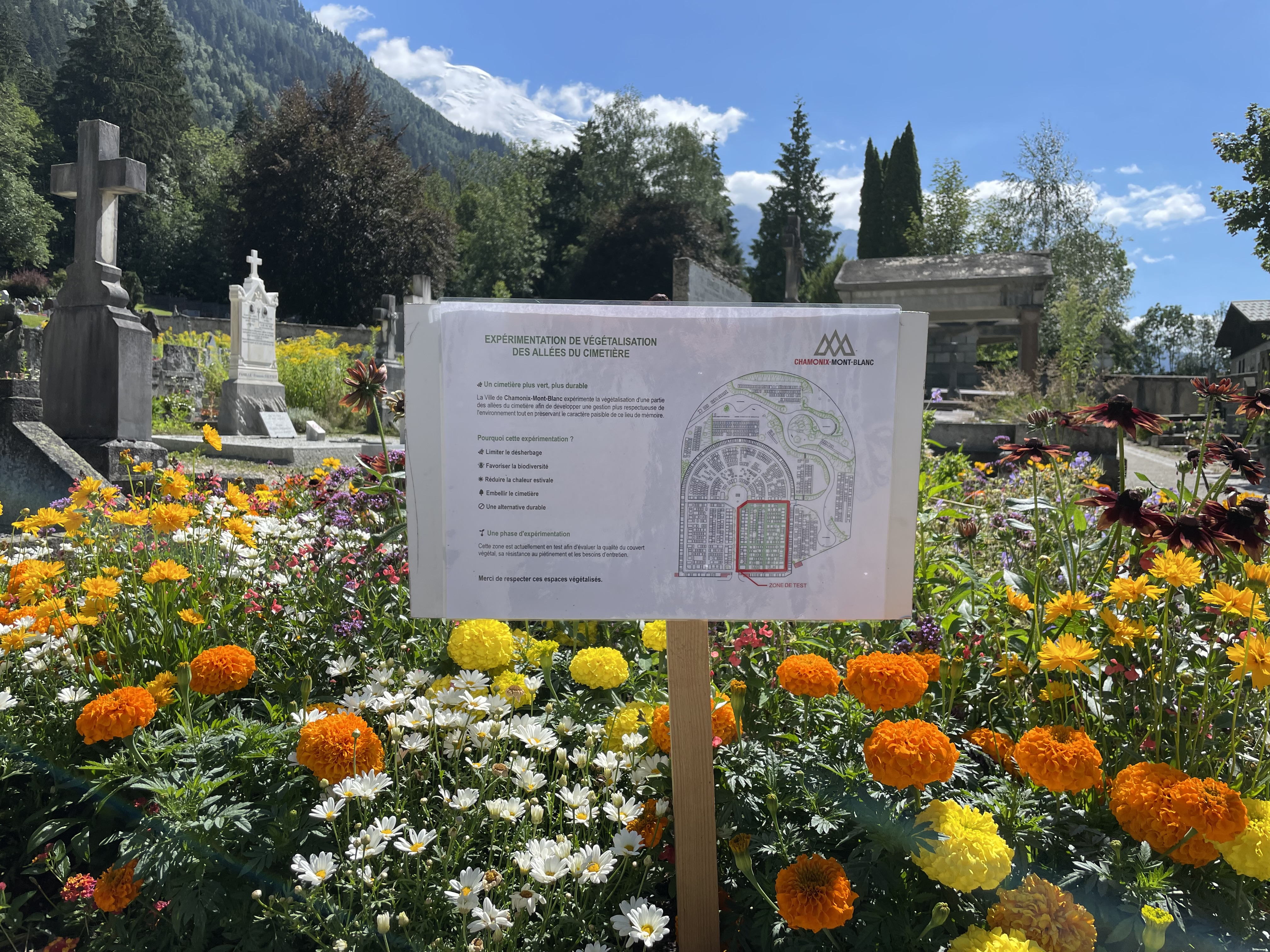 Vers un cimetière plus vert et accueillant à Chamonix-Mont-Blanc