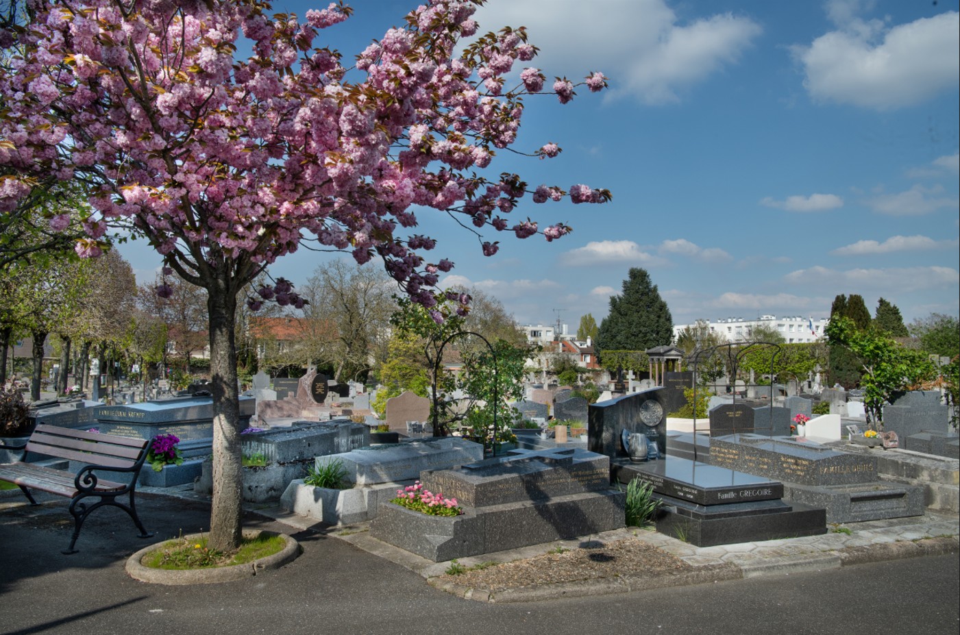 Photo cimetière